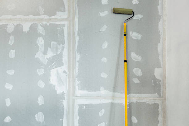 Best Drywall Crack Repair  in Hollins, VA